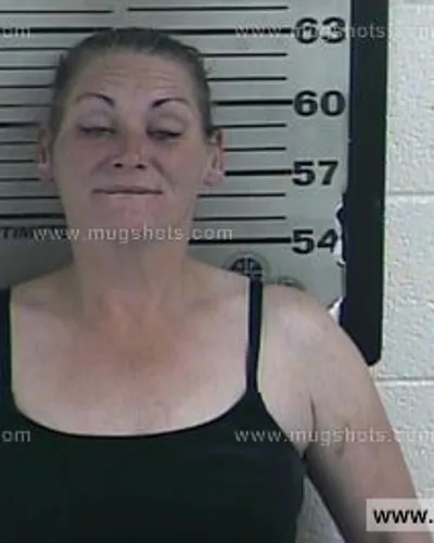 Booking photo of Amanda Jones, Dyer County, Apr 13, 2016