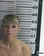 Booking photo of Dana Lynn Hallam, Dyer County, Oct 30, 2016