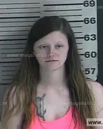 Booking photo of Ashley Nicole Orman, Dyer County, Apr 2, 2016