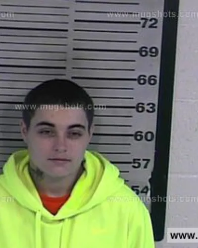 Booking photo of Amber Marchisio, Dyer County, Jul 10, 2016