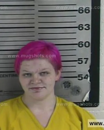 Booking photo of Kimberly Ann Parson, Dyer County, Nov 8, 2016