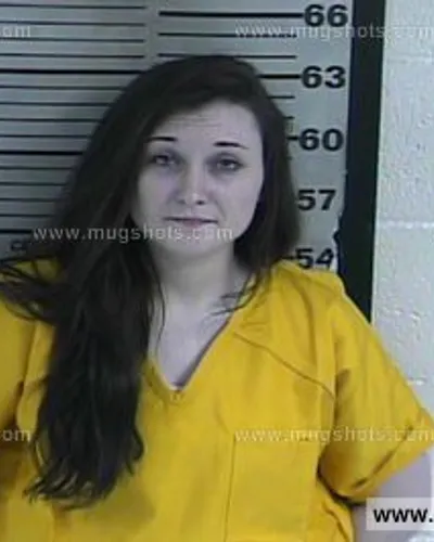 Most recent booking photo for Breannah Michelle Smart