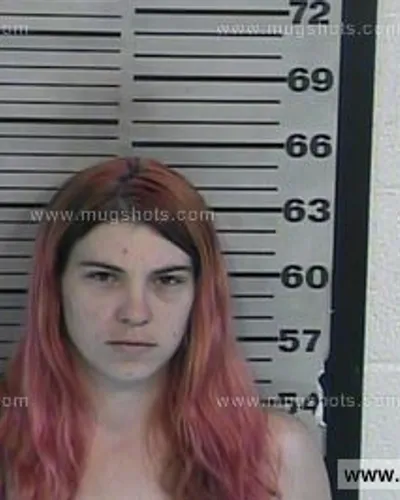 Booking photo of Ashley Ciscell, Dyer County, May 16, 2016