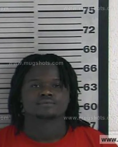 Booking photo of Brenton Bell, Dyer County, Aug 12, 2016