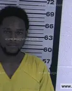 Booking photo of Steven Ray Harris, Dyer County, Nov 4, 2016