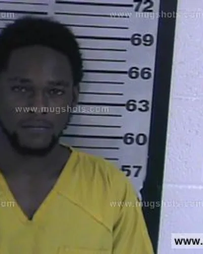 Booking photo of Steven Ray Harris, Dyer County, Nov 4, 2016