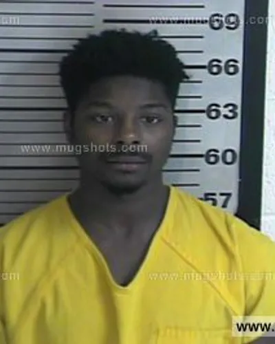 Booking photo of Brandon Mckinney, Dyer County, Nov 13, 2016