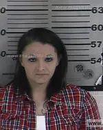 Booking photo of Brandy Nicole Donnell, Dyer County, May 12, 2016