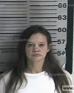 Booking photo of Tiffiny Renee Stover, Dyer County, Nov 8, 2016