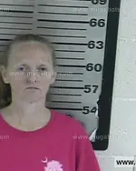 Booking photo of Linda Fay Smith, Dyer County, Nov 4, 2016