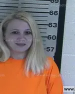 Booking photo of Misty Michelle Reed, Dyer County, Nov 4, 2016