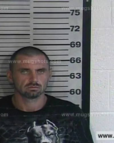 Most recent booking photo for Alvis Ray Thompson