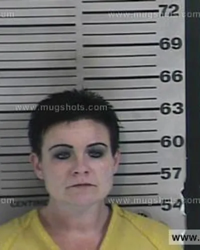 Booking photo of Susan Palmer, Dyer County, Nov 15, 2016