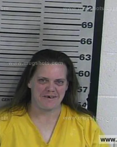 Booking photo of Bonnie Leigh Baldwin, Dyer County, Jul 30, 2016