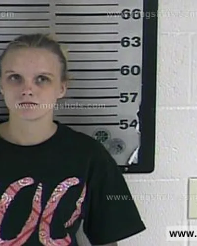 Most recent booking photo for Amanda Beth Singleteary