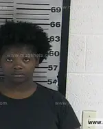 Booking photo of Amber Kathleen Jones, Dyer County, Jun 22, 2016