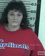 Booking photo of Debra Jean Holt, Dyer County, Nov 12, 2016