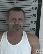 Booking photo of Aaron Lynn Bartlett, Dyer County, Aug 10, 2016