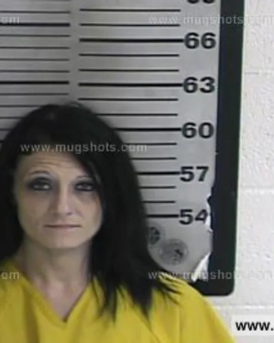 Booking photo of Amanda Hutcheson, Dyer County, Sep 8, 2016