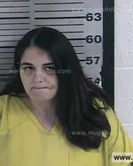 Booking photo of Brandy Renee Anderson, Dyer County, Apr 2, 2016