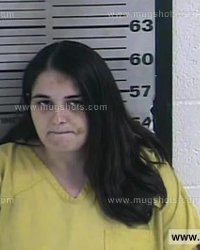 Booking photo of Brandy Anderson, Dyer County, Apr 2, 2016