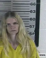 Booking photo of Crystal Virginia Parson, Dyer County, Nov 12, 2016