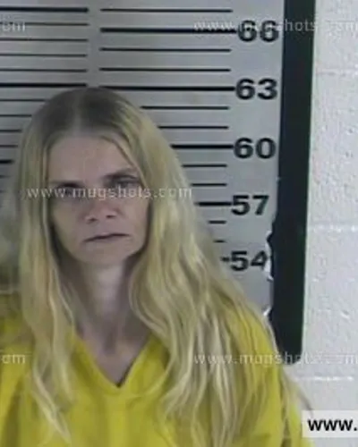 Booking photo of Crystal Parson, Dyer County, Nov 12, 2016