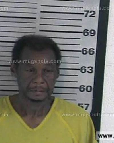 Booking photo of Albert Lee Gauldin, Dyer County, Nov 9, 2016