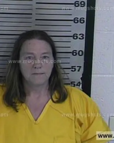 Booking photo of Bonnie Mitchell, Dyer County, Jul 17, 2016