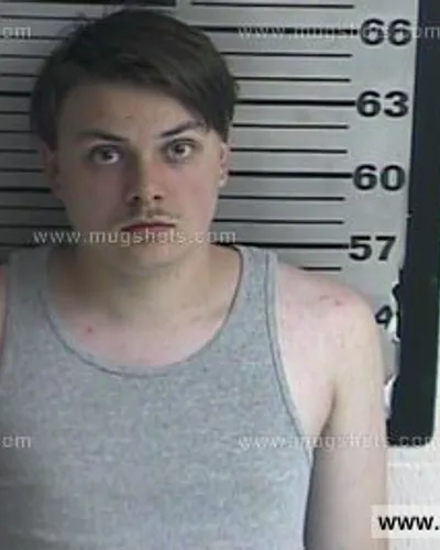 Booking photo of Bradley Goodman, Dyer County, Mar 27, 2016