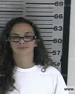 Booking photo of Amy Michelle Phillips, Dyer County, Aug 12, 2016