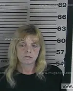 Booking photo of Denica Faye Overall, Dyer County, Oct 27, 2016