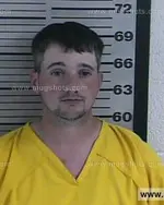 Booking photo of Brandon GENE Davis, Dyer County, Apr 30, 2016