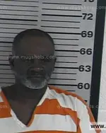 Booking photo of James Riley Henning, Dyer County, Nov 12, 2016