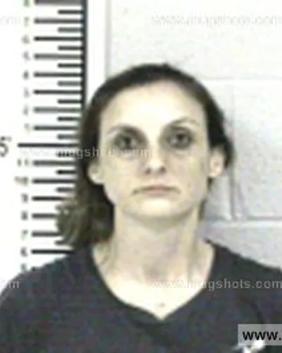 Booking photo of Britt Renee, Franklin County, Aug 8, 2017