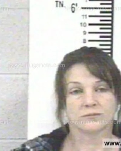 Booking photo of CELENA HENSLEY, Franklin County, Jan 28, 2013