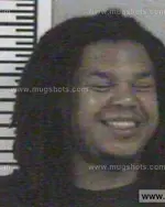 Booking photo of KIMBERLY BRYSON JOHNSON, Franklin County, May 15, 2013