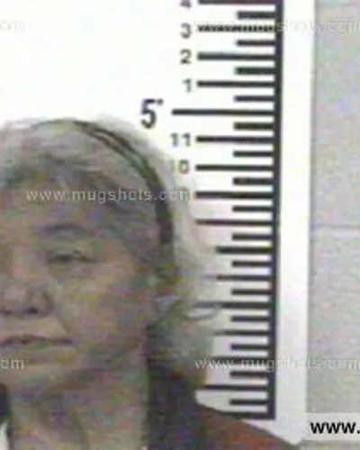 Booking photo of DELORES TOPASNA THOMAS, Franklin County, May 18, 2013