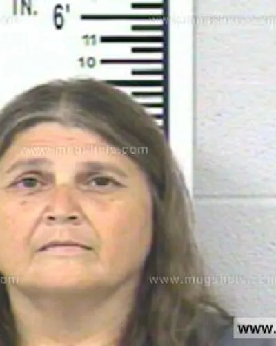 Booking photo of ELIZABETH WINDOM, Franklin County, Aug 13, 2013