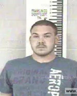 Booking photo of ANDREW RYAN AUSTIN, Franklin County, Mar 17, 2013