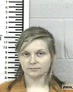 Booking photo of Lewis Shae Logan, Franklin County, Aug 8, 2017