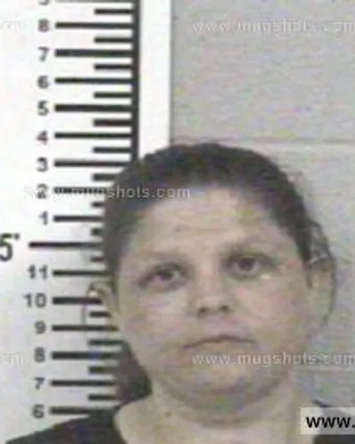 Booking photo of TAMMY PARTIN, Franklin County, May 15, 2013