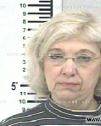 Booking photo of DIANE PASSARELLO, Franklin County, Feb 26, 2013