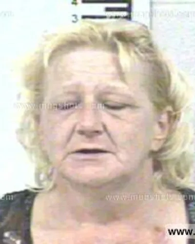 Booking photo of PAMELA LOUISE SCOTT, Franklin County, Oct 30, 2013