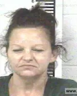 Booking photo of ANDREW SCOTT OWENS, Franklin County, Nov 1, 2013