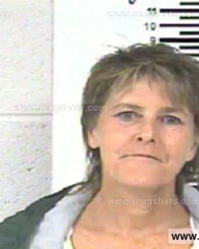 Booking photo of TRACY LEE ELLIOTT, Franklin County, Jul 27, 2013