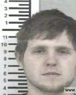 Booking photo of JAMIE COWAN SYLER, Franklin County, Jan 11, 2014