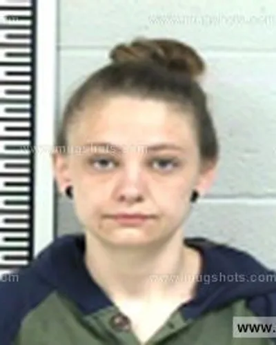 Booking photo of Watson Ann, Franklin County, Mar 23, 2017