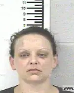 Booking photo of CRYSTAL LYNN PERKINS, Franklin County, Jun 9, 2014