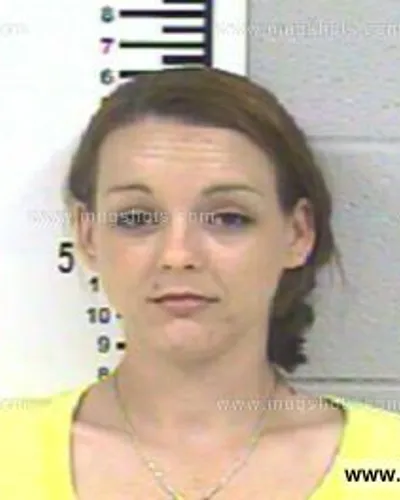 Booking photo of AMY NICOLE YOUNG, Franklin County, Aug 6, 2013